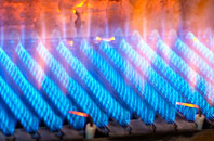 Dunan gas fired boilers